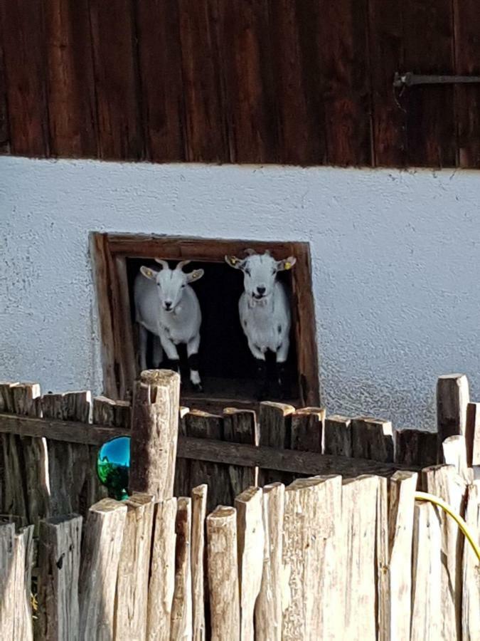 Landhaus Bergmoment - Adults Only Элльмау Экстерьер фото